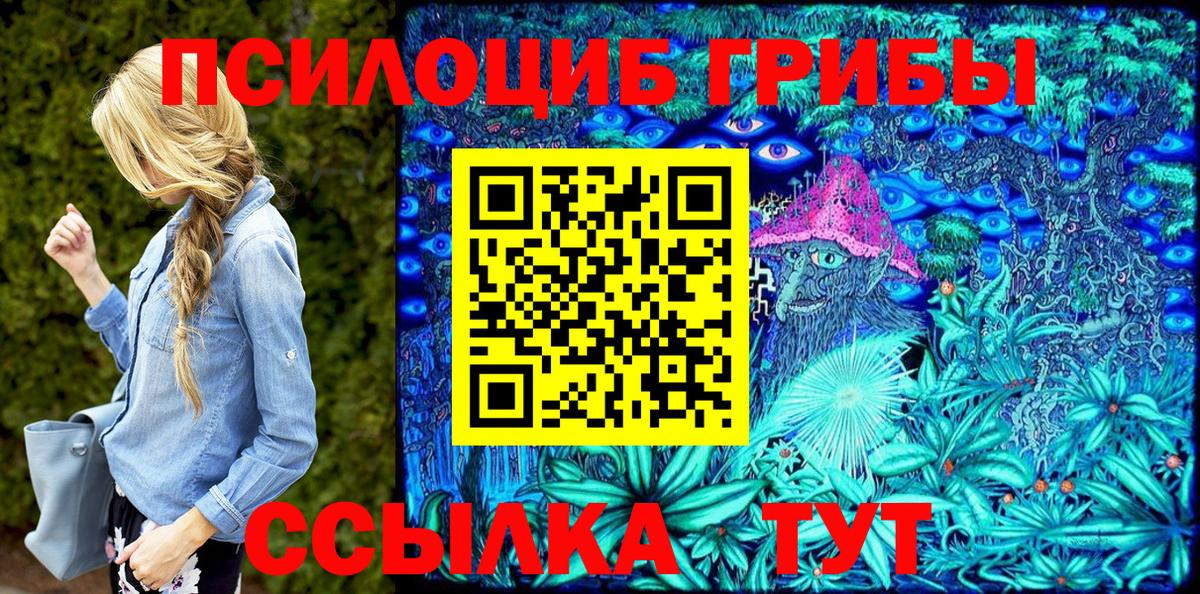 Псилоцибиновые грибы GOLDEN TEACHER Александров